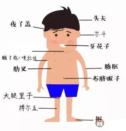 只有莒縣人才能看懂的人體構(gòu)造圖，好深奧好羞澀