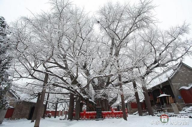 山東這兩個(gè)縣城的羊湯聞名全國(guó)，歷史也相當(dāng)悠久