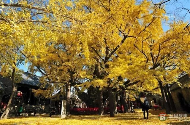 再過幾天，莒縣這個地方要火……先睹為快！