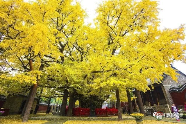厲害了，大莒縣！
