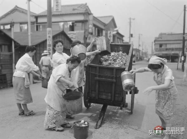 “逼瘋”上海人的垃圾分類背后，藏著中國(guó)人不知道的殘忍真相